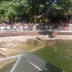 20141024_121239_coco