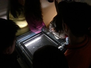 2015-02-20 11.12.51-1