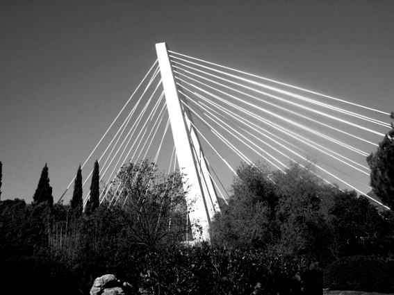 Maria Jimena Blanco y gris