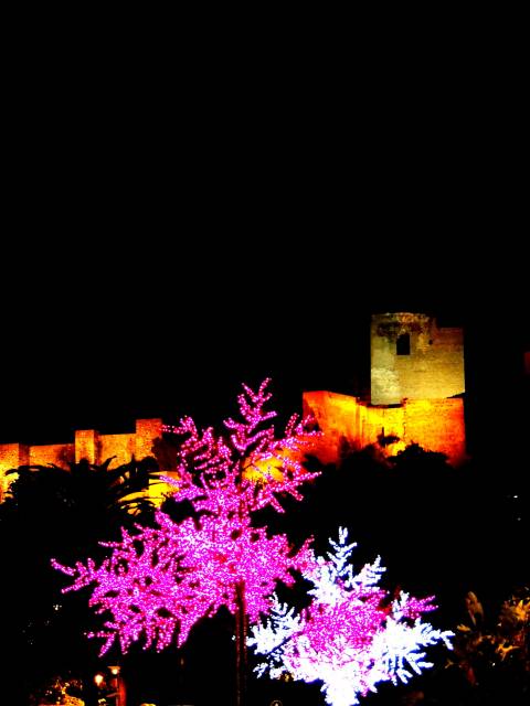 Mario Mancebo #best foto