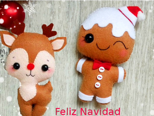 María Jimena Foto Navideña FN