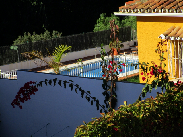 María Jimena flores rojas