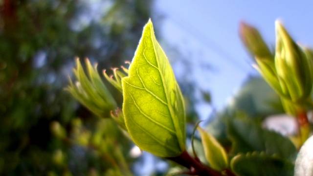 Rocío Ruiz Hojaaaaaa