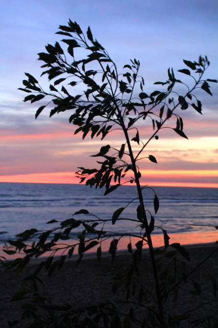 Rocío Ruiz atardecer