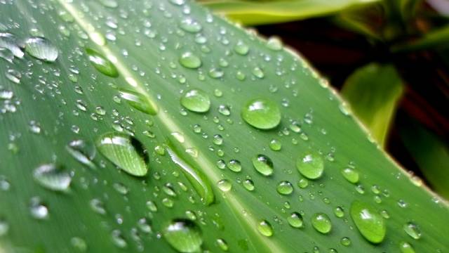 Rocío Ruiz gota de aguuuuuuua