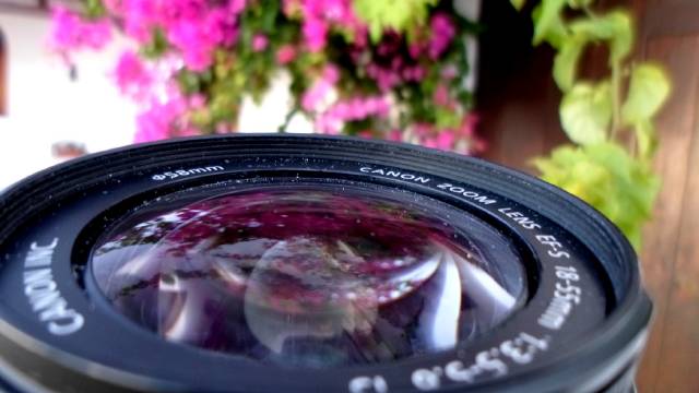 Rocío Ruizcamarapapa