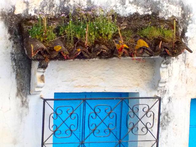 w Iván Gámez terraza