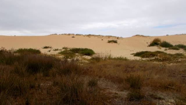w Nicolás Marcos 'Playa'