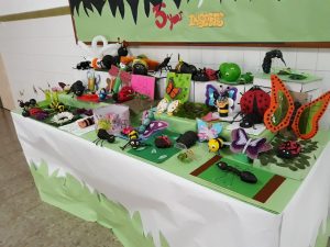 INSECTS_tercero EP_natural science_2