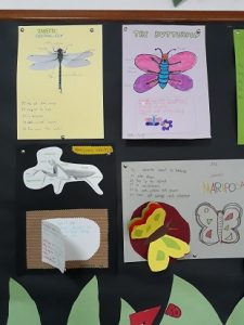 INSECTS_tercero EP_natural science_6