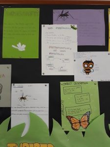 INSECTS_tercero EP_natural science_7
