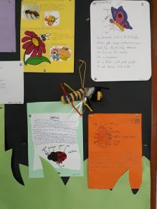 INSECTS_tercero EP_natural science_8