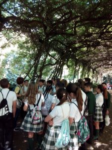 IMG-20180509-WA0003 - copia