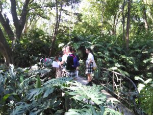 IMG_20180509_113519 - copia