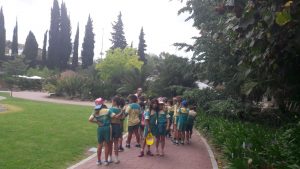 1a397e97-7044-4210-9d54-9871dc51a24a