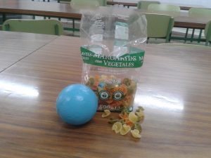 ECOTALLER BOLACORCHO