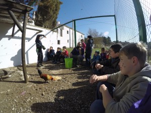 DCIM100GOPROGOPR3250.