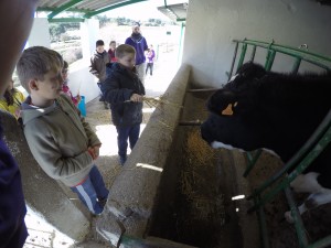 DCIM100GOPROGOPR3290.