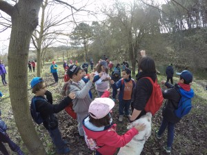 DCIM100GOPROGOPR3366.