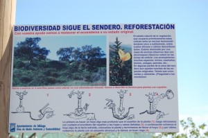 INAUGURACIÓN ECO AULA LOS RUICES (34)