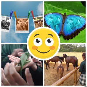 pixiz-22-04-2016-17-47-26