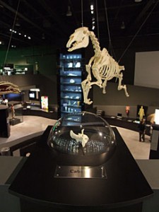 viaje_al_cuerpo_humano-07.jpg_591114082