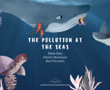 Environmental Corner